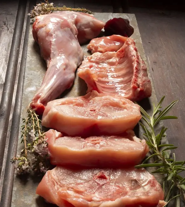 Recetas con conejo. Despiece de un conejo