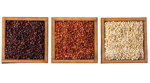 Tres cuencos, uno con quinoa blanca, otro con roja y otro con quinoa negra