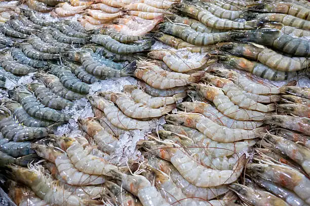 Gambas en un expositor del mercado