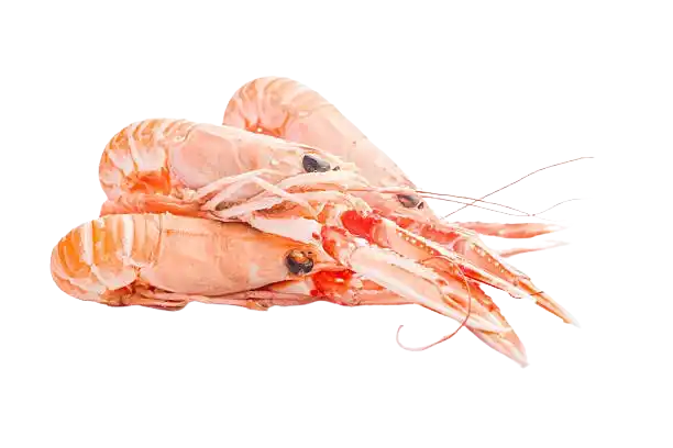 Recetas con marisco: gambas