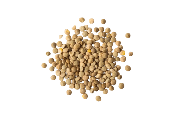 Recetas con legumbres: lentejas