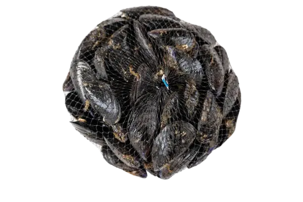 Una malla de mejillones frescos