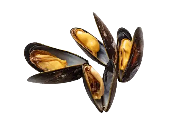 Recetas con marisco: mejillones