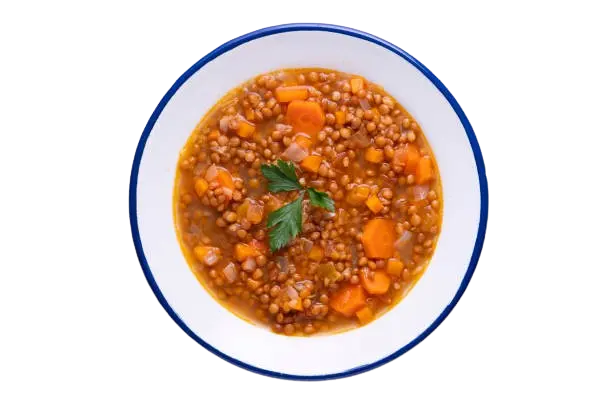 Recetas con lentejas. Un plato con lentejas estofadas.