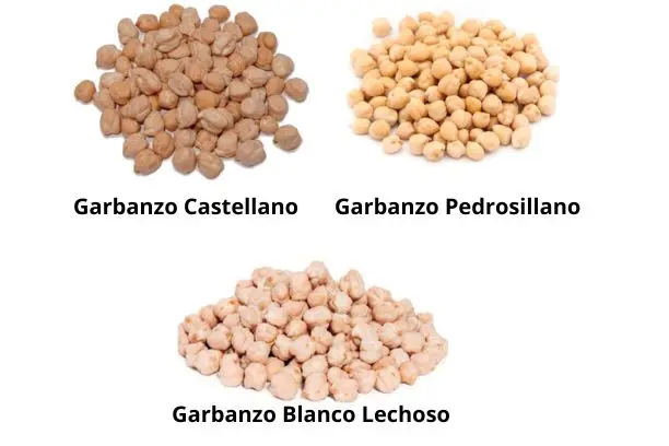 Diferentes tipos de garbanzos