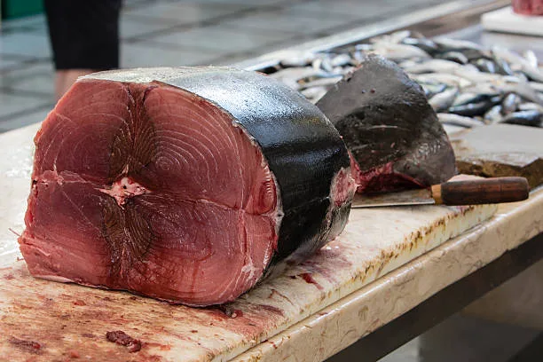 Un trozo de atún fresco listo para cortar