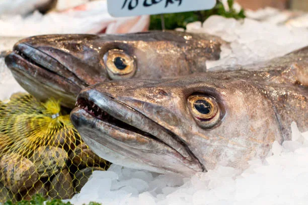 Dos merluzas en un expositor en el mercado